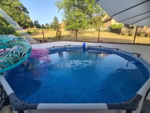 a swimming pool with an umbrella in a backyard at Garden Lux Grujić Apartmani in Krivi Vir