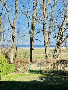 a green gate in a field with trees at Landhaus zum Strande - 44-08 in Kägsdorf +9 photos