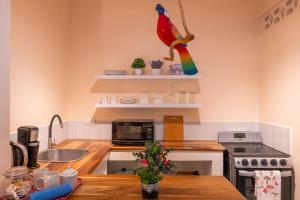 Köök või kööginurk majutusasutuses Casa Mapache