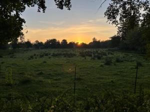 un champ avec un coucher de soleil en arrière-plan dans l'établissement Meedehof Moorhausen, WH Ziegenstall, à Varel