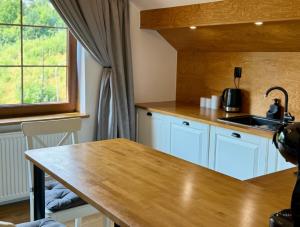 Kuchyňa alebo kuchynka v ubytovaní Maya Pokoje i Apartamenty