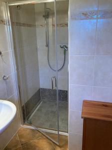 een douche met een glazen deur in een badkamer bij Ferienhaus zur Kranichweide in Bodstedt +13 foto's