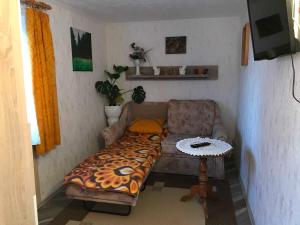 a small living room with a couch and a table at Csajka FeWo in Ueckeritz