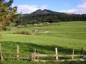 a wooden fence in a green field with a mountain at Ferienhaus Gamssteige im Feriendorf Reichenbach G18 in Nesselwang +15 photos