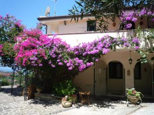 a house with purple flowers on the side of it at Villa Panthea in Capo Vaticano