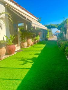 a green lawn next to a house with potted plants at Athena Villa in Anissaras