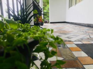 Zahrada ubytování Grand Infinite Home Stay