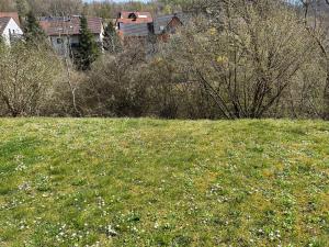 a field of green grass with buildings in the background at Ferienwohnung Sonnengarten in Heiligenstadt