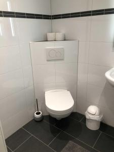 a white bathroom with a toilet and a sink at Ferienwohnungen Falkenhagen in Dörpstedt +14 photos