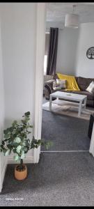 ホワイトヘイブンにあるApartment 10 Bega House,のリビングルーム(ソファ、鉢植え付)