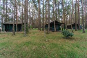 LütowUrlaub im Bungalow mitten im Wald的树林中间的两座小屋