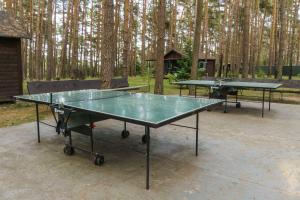 LütowUrlaub im Bungalow mitten im Wald的两张乒乓球桌,在一些树前