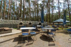 LütowUrlaub im Bungalow mitten im Wald的一组桌子和椅子,有树背景