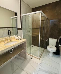 a bathroom with a shower and a toilet and a sink at Riellis Center Hotel in Botucatu