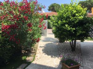 a garden with pink flowers and green bushes at Prataiolo in Palazzo Vianello