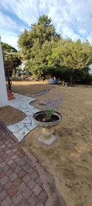 Κήπος έξω από το Villa La Plage des Oiseaux proche plage