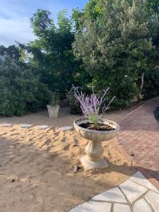 Κήπος έξω από το Villa La Plage des Oiseaux proche plage