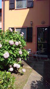 Zahrada ubytování Casa 338