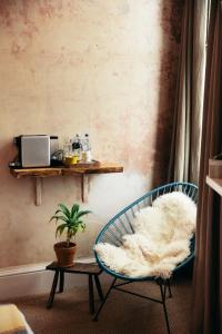 a room with a chair and a table with a plant at The Culpeper Bedrooms in London