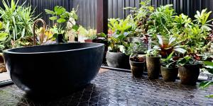 a group of potted plants sitting on a table at Alam Kesehatan Wellness retreat in Nimbin