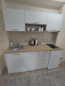 a small kitchen with a sink and a counter at Jaz Apartman in Bajina Bašta