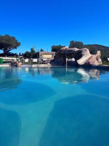 a large pool of blue water in a zoo at Villa con piscina, campo fútbol y pádel in Mas dʼen Rieres