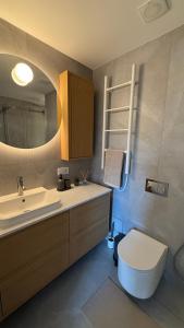 a bathroom with a sink and a toilet and a mirror at Algirdo Sunlight Studio in Vilnius