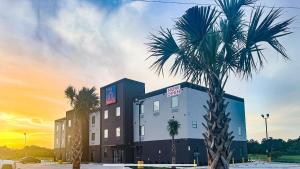 a palm tree in front of a hotel at Studio 6 Giddings in Giddings