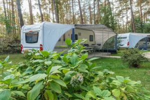Urlaub im Wohnwagen mitten im Wald外面的花园