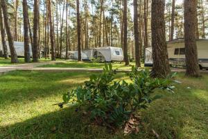 Urlaub im Wohnwagen mitten im Wald外面的花园