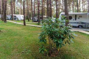 Urlaub im Wohnwagen mitten im Wald外面的花园