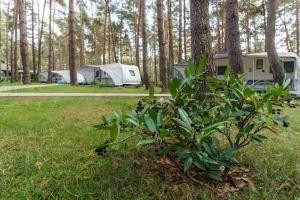 Urlaub im Wohnwagen mitten im Wald外面的花园