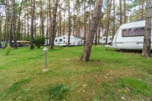 Urlaub im Wohnwagen mitten im Wald外面的花园