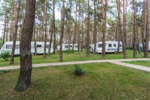 Urlaub im Wohnwagen mitten im Wald外面的花园
