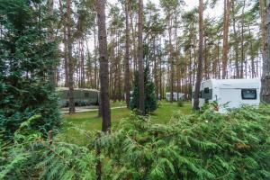 Urlaub im Wohnwagen mitten im Wald外面的花园
