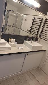 a bathroom with a sink and a mirror at Apartament Ski&Bike Czarna Góra, Sienna in Sienna +27 photos