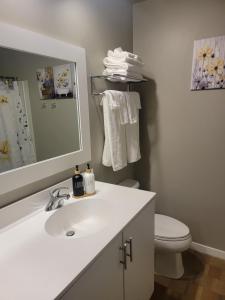 Un baño con lavabo, inodoro y espejo. en Ann Arbor's Humble Abode, en Ann Arbor