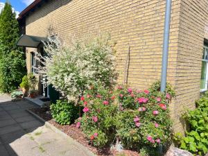 Zahrada ubytování FeWo Zwischen Nord- und Ostsee