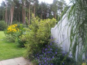 a garden with purple flowers next to a white fence at Waldblick Fewo Noeske - GM 69606 in Müritz