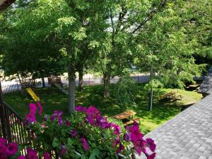 un giardino con fiori viola e un albero di Georgian Inn Motel a Wasaga Beach