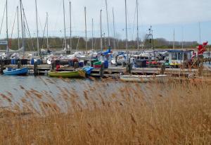 Φυσικό τοπίο κοντά σε αυτό το διαμέρισμα