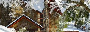 domek w lesie ze śniegiem w obiekcie Paihuen Resort de Montaña w mieście San Martín de los Andes