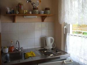 Kuchyň nebo kuchyňský kout v ubytování Ferienwohnung Am Mühlbach