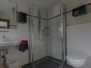 a bathroom with a shower and a toilet and a sink at Haus Hahnenkamm in Nesselwängle