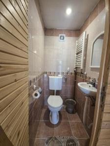 Koupelna v ubytování Art Apartments Minic