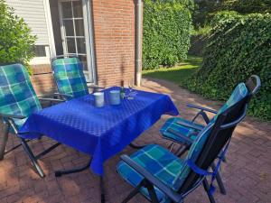 カロリーネンジールにあるNr 100 - Ferienhaus Uferglückの青いテーブルと椅子が備わるパティオ
