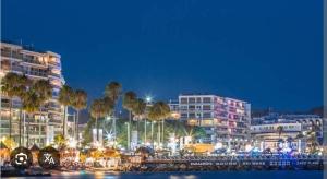 瓦洛里Studio cosy proche des plages de Golfe Juan的棕榈树和建筑的夜城