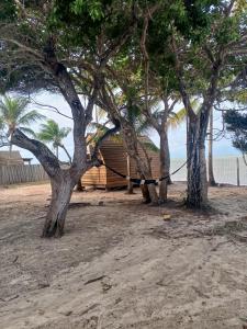 Imagen de la galería de Peixe na Patioba, en Porto Seguro