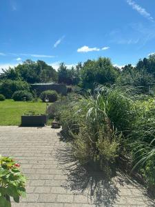 GlesborgにあるBlomsterhavenの公園の歩道に植えられた植物の群れ