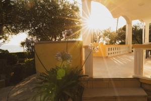 Balkón nebo terasa v ubytování House Villa Petar 1